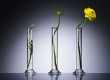 © Copyright 2012 CorbisCorporation © Copyright 2012 CorbisCorporation